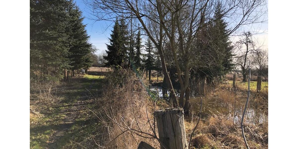 Einfamilienhaus Ducherow - 5 Zimmer, 190 m&sup2;, 135.000&euro; | Angebot:26291554