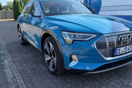 Audi e-tron 118.000 km 29.750 &euro; Hambühren 29313