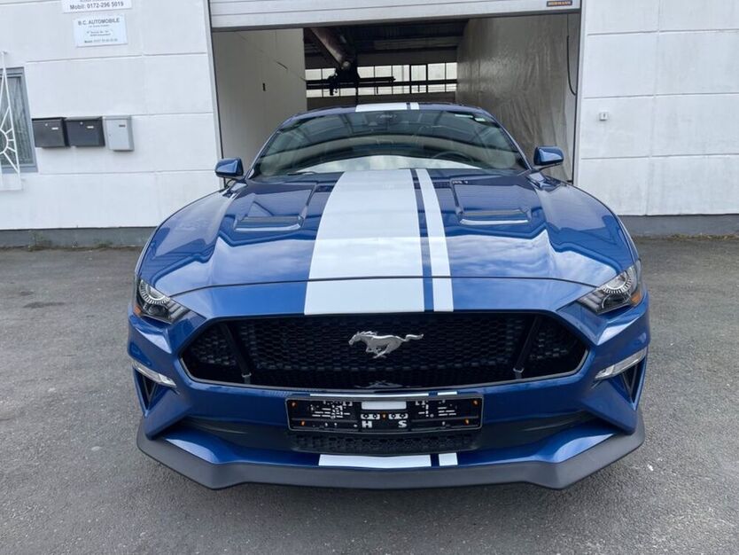 Mustang