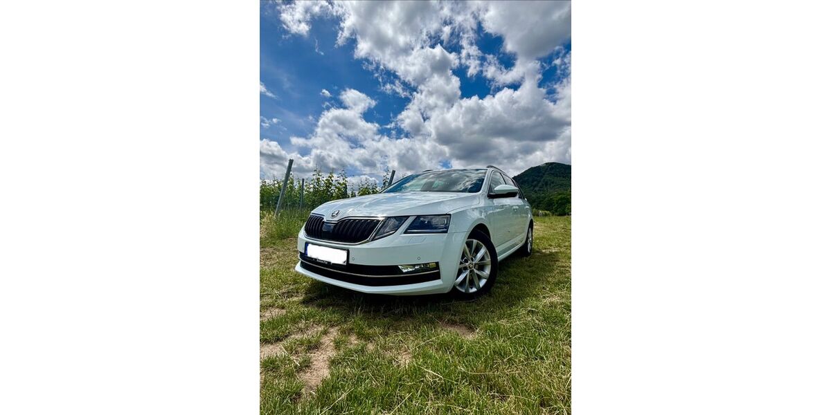 Skoda Octavia 224.000 km 10.500 &euro; Edenkoben 67480