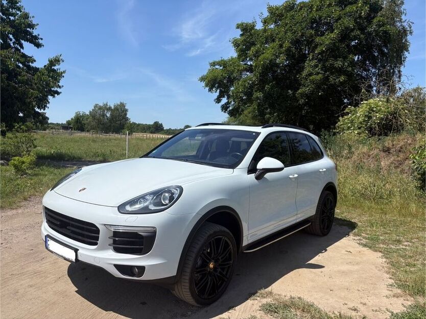Cayenne