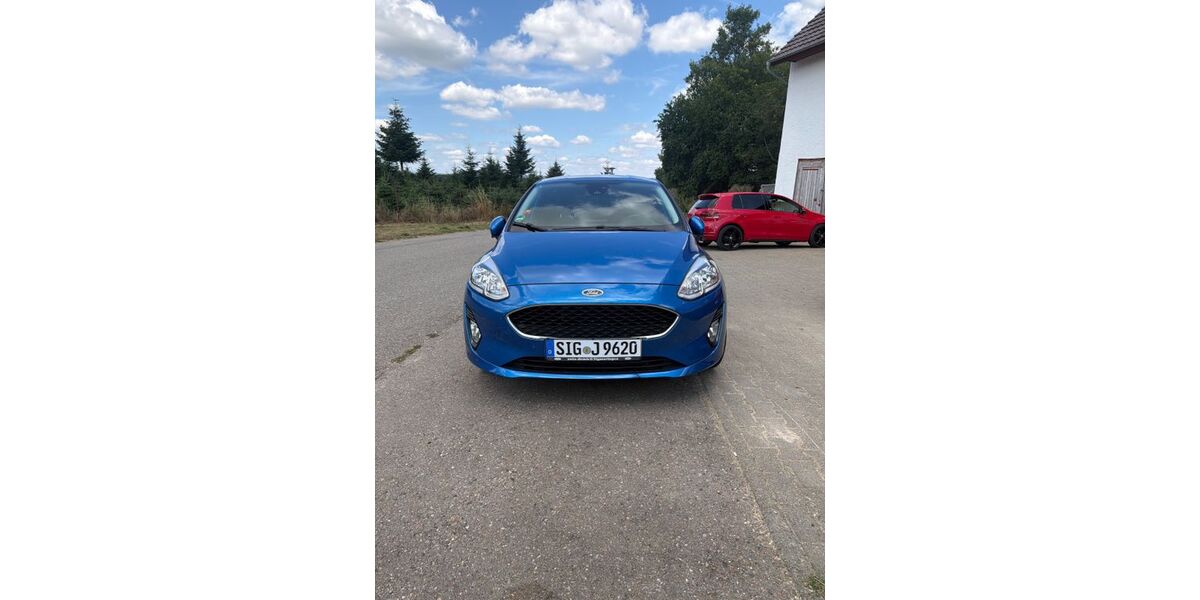 Ford Fiesta 100.081 km 8.100 &euro; Meßkirch 88605