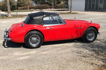 Austin Healey Andere 100.000 km 37.000 &euro; Großkarlbach 67229