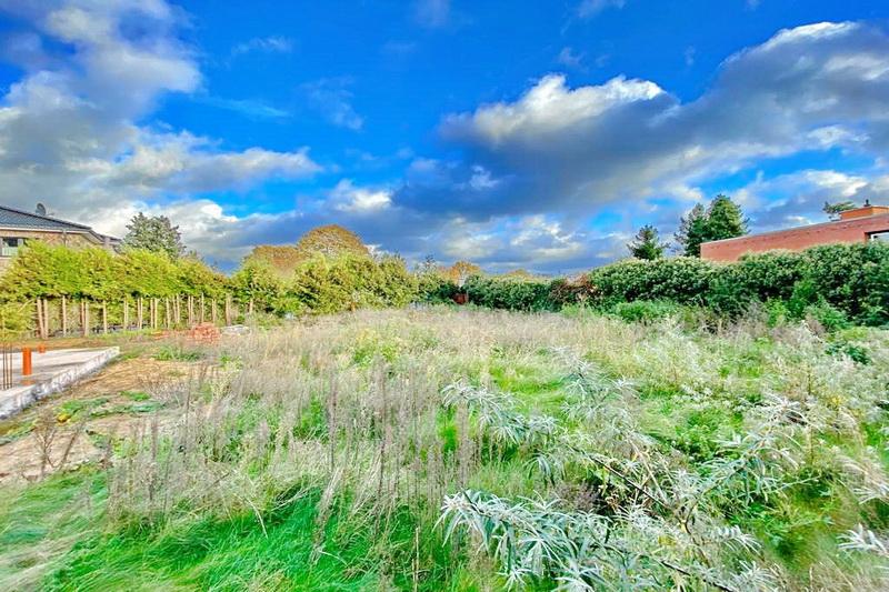 Reizvolles Baugrundstück ~ unschlagbarer Preis! zimmer