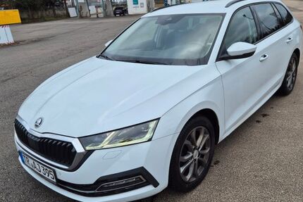 Skoda Octavia 188.000 km 17.000 &euro; Wasserliech 54332