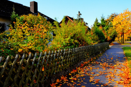 Großzügiges Haus in bester Wohnlage in Gundelsheim - Mehrgenerati 5 zimmer