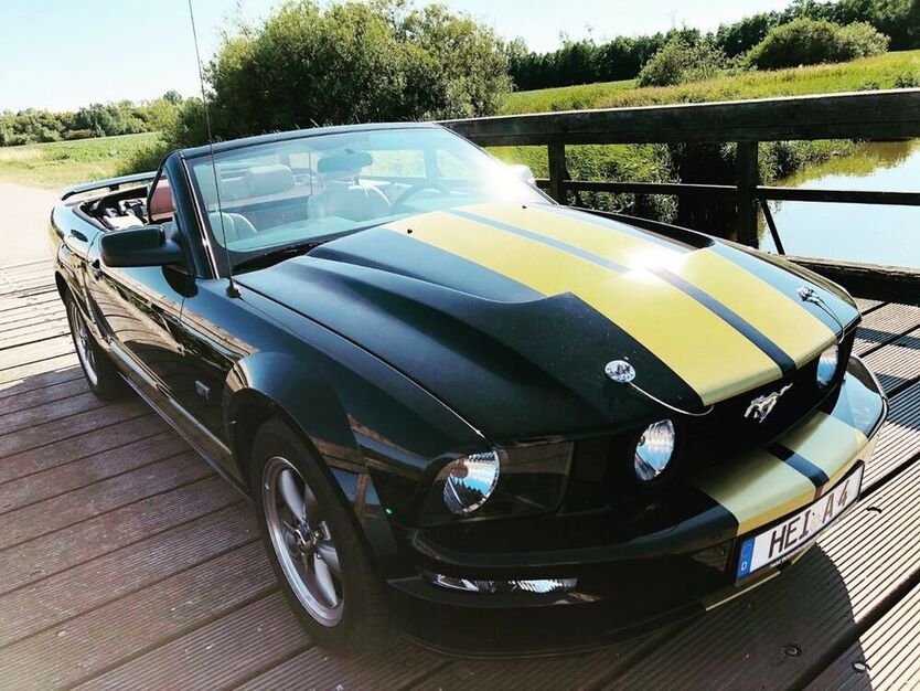 Mustang