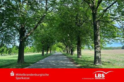 Grundstück Biesenthal - 105.000&euro; | Angebot:25547775