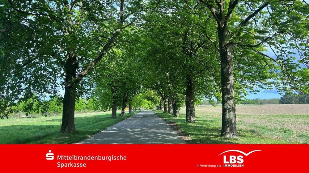 Grundstück Biesenthal - 105.000&euro; | Angebot:25547775