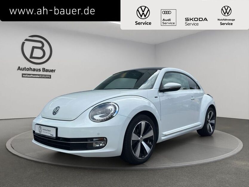 Beetle