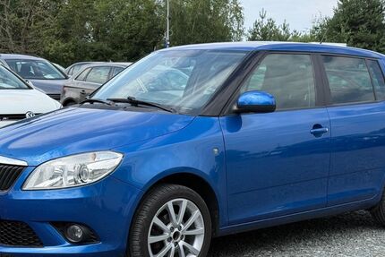 Skoda Fabia 214.239 km 4.499 &euro; Schleifreisen 07629