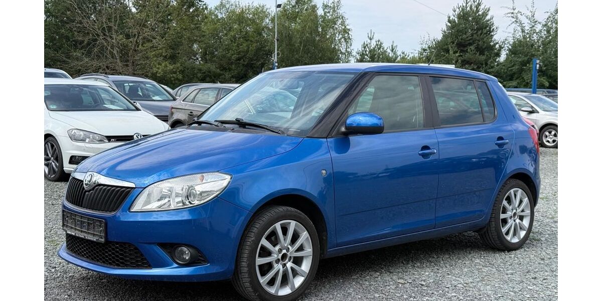 Skoda Fabia 214.239 km 4.499 &euro; Schleifreisen 07629