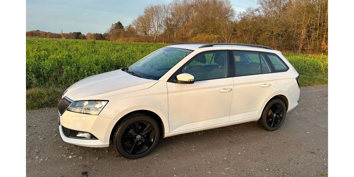 Skoda Fabia 73.000 km 11.000 &euro; Bad Bramstedt 24576