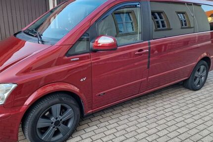 Mercedes Viano