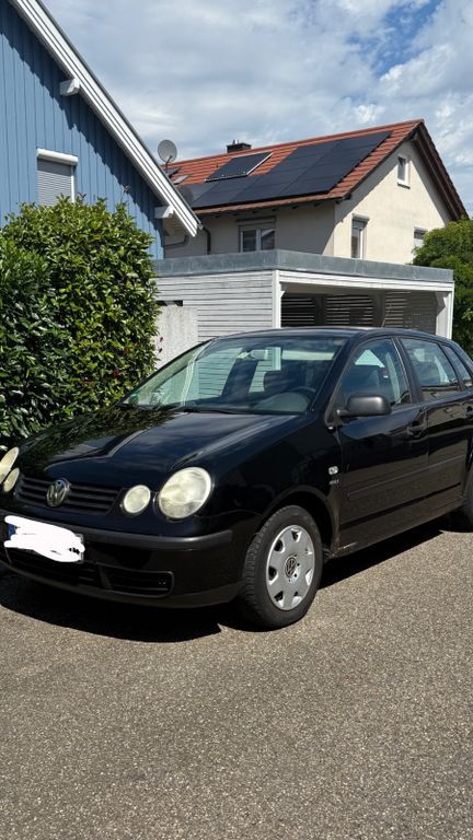 Polo