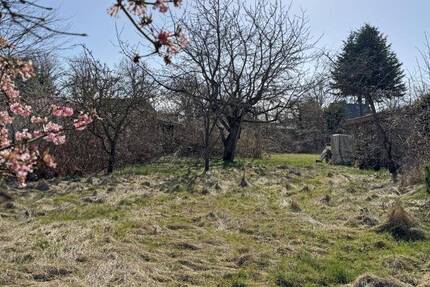 Grundstück Wustrow - 495.000&euro; | Angebot:26093878