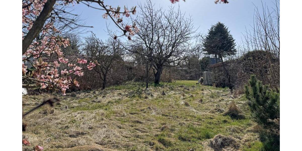 Grundstück Wustrow - 495.000&euro; | Angebot:26093878