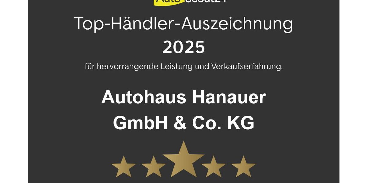 Renault Austral 24.200 km 24.999 &euro; Oberviechtach 92526