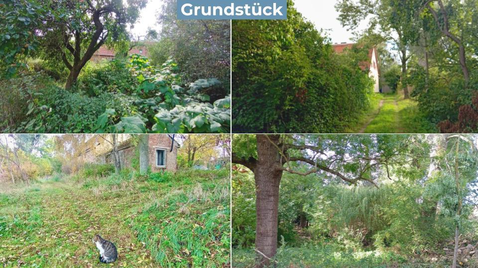 Bauernhaus, Landhaus Prenzlau - 10 Zimmer, 150 m&sup2;, 320.000&euro; | Angebot:27253471