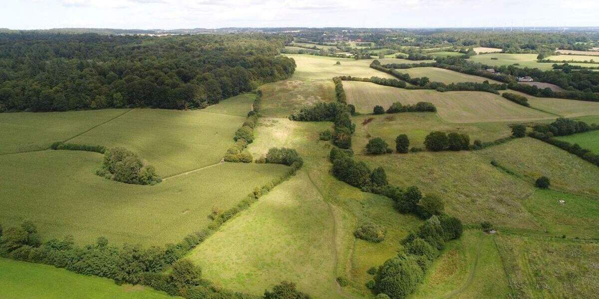 Grundstück Kasseedorf - 100.000&euro; | Angebot:25666082