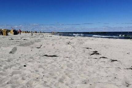 Für Ihr neues Leben auf der Sonneninsel Usedom haben wir Ihr das passende Bau-Grundstück. - Grundstück Peenemünde | Angebot:26086140