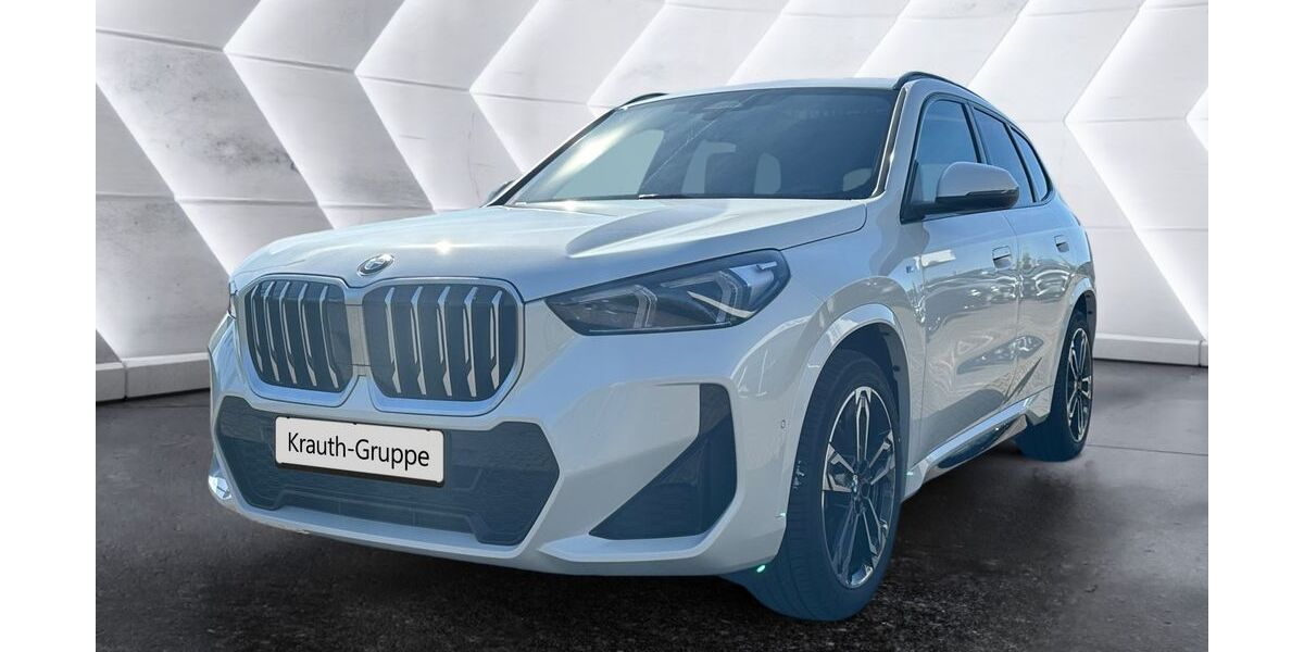 BMW X1 25.100 km 52.955 &euro; Hockenheim 68766