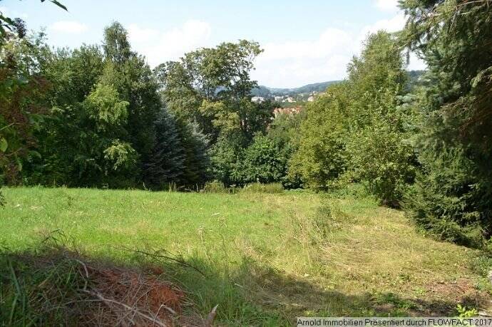 Grundstück Sebnitz - 18.000&euro; | Angebot:25748988