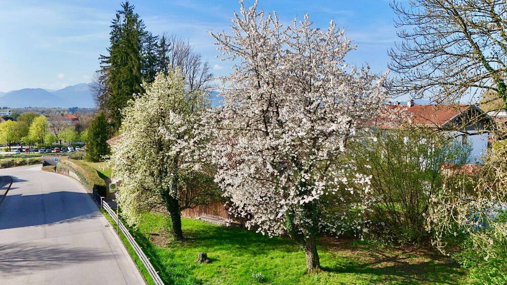 Grundstück Kolbermoor - 695.000&euro; | Angebot:26362559