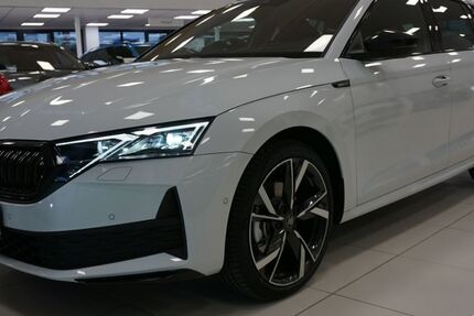 Skoda Octavia 2.500 km 45.190 &euro; Waldshut-Tiengen 79761