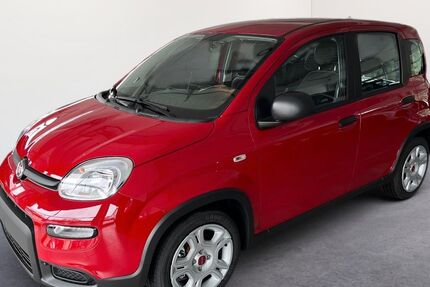 Fiat Panda 10 km 16.590 € Lindenberg 88161