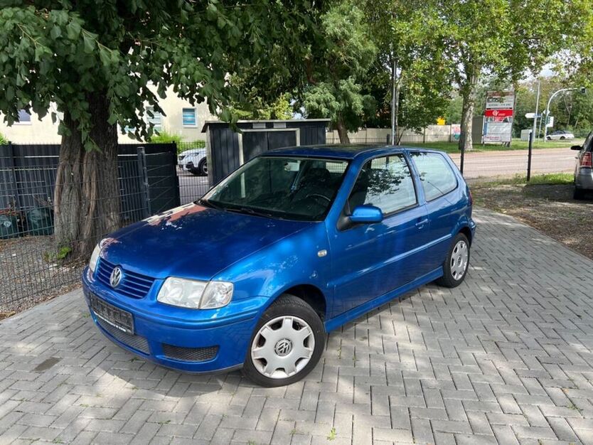 Polo