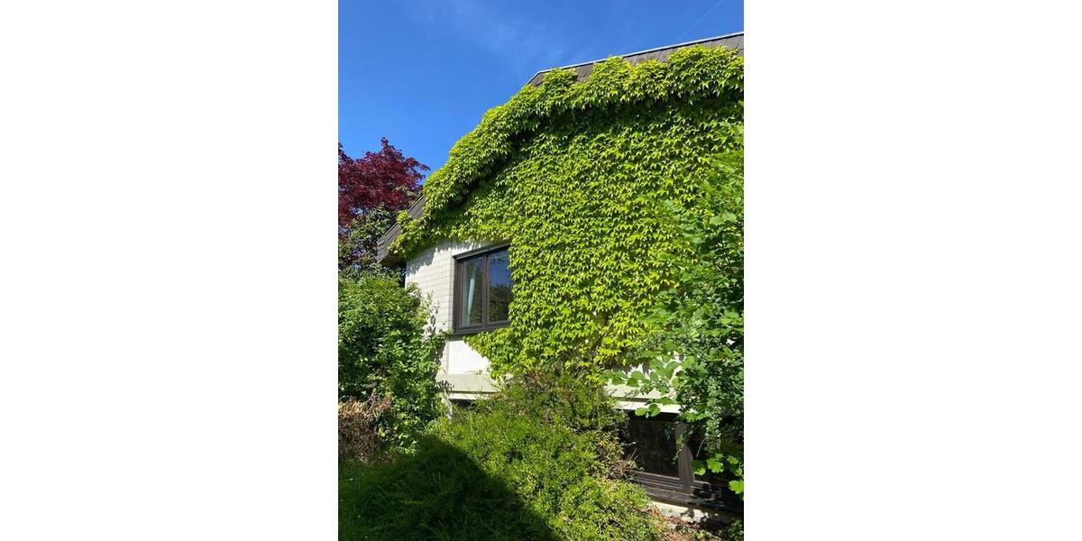 Einfamilienhaus Schauenburg - 6 Zimmer, 208 m&sup2;, 415.000&euro; | Angebot:26770397