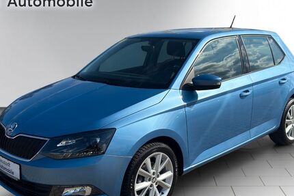 Skoda Fabia 76.068 km 9.980 &euro; Elsterwerda 04910