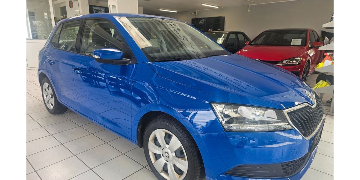 Skoda Fabia 59.000 km 9.490 &euro; Berghülen 89180