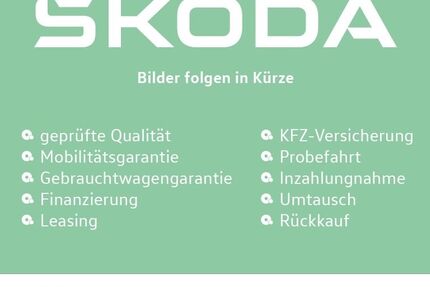Skoda Fabia 5.000 km 20.480 &euro; Wetzlar 35578