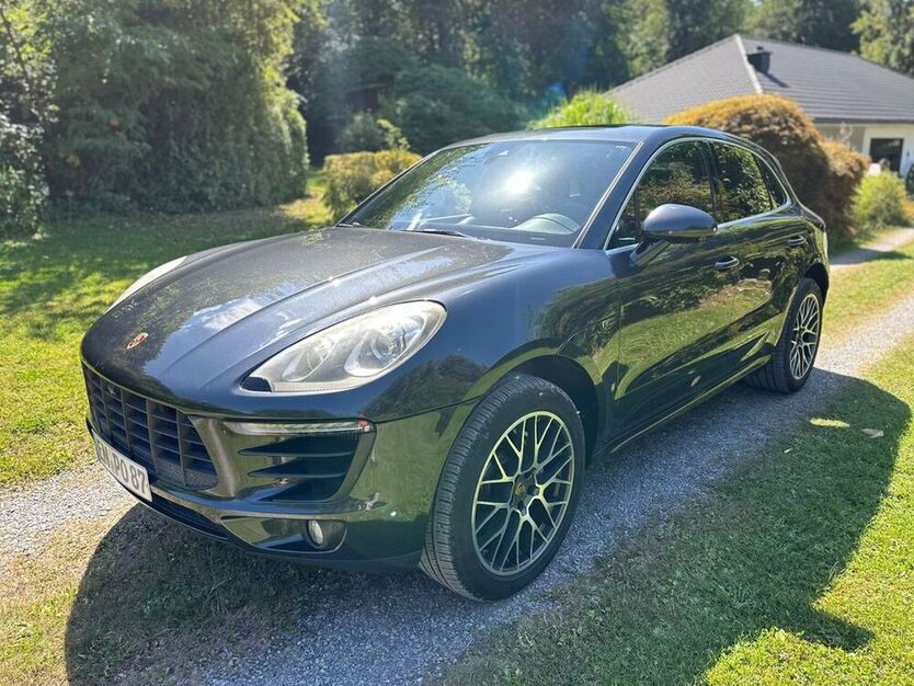 Macan