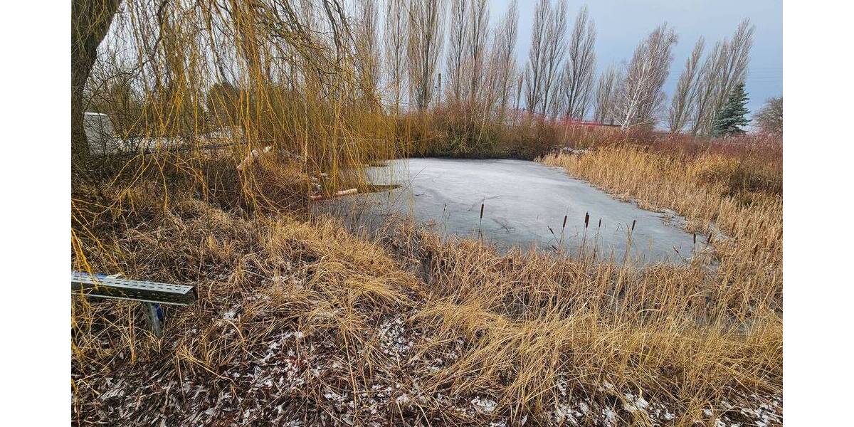 Gewerbeobjekt Wiedemar Pohritzsch - 2.500.000&euro; | Angebot:26247288