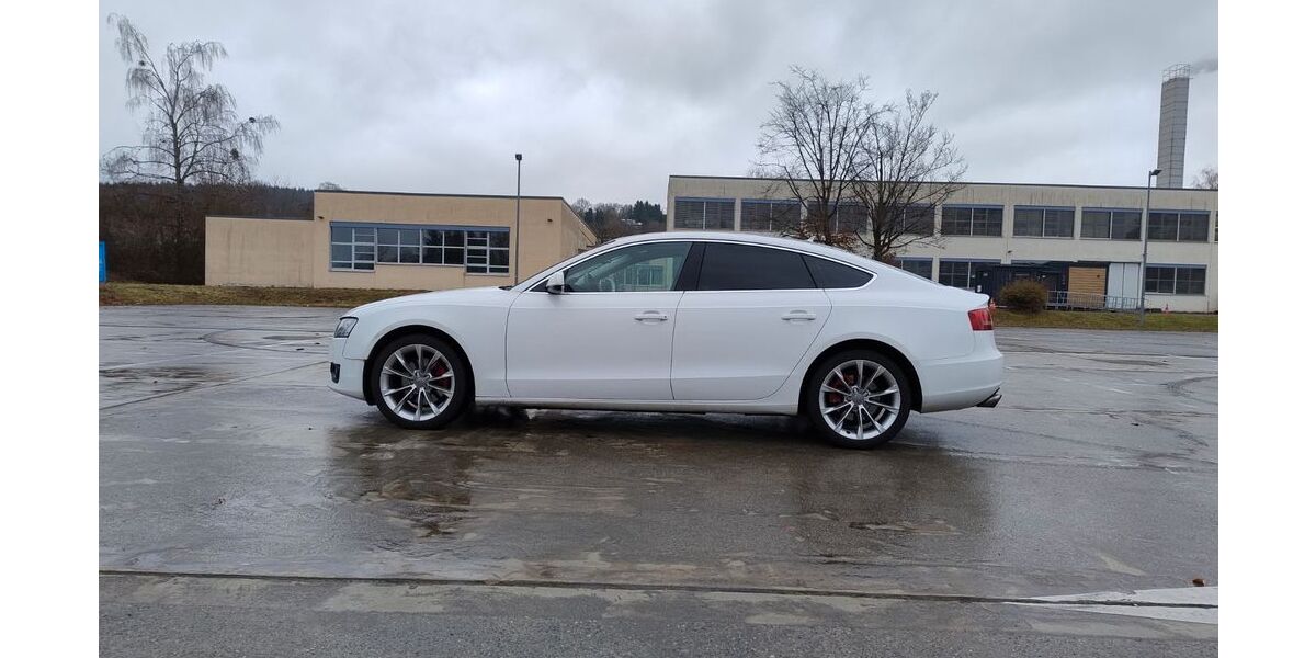Audi A5 278.000 km 6.000 &euro; Weingarten 88250