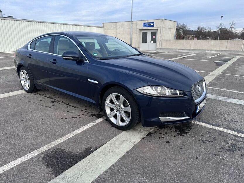 XF