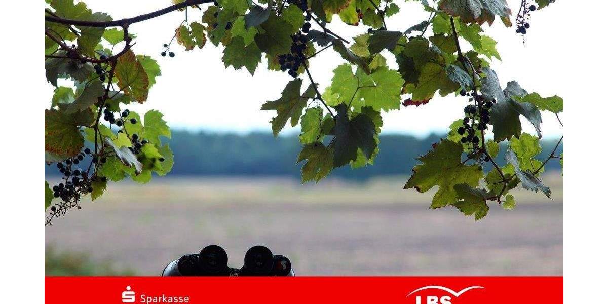 Grundstück Zschepplin Naundorf - 120.000&euro; | Angebot:25735539