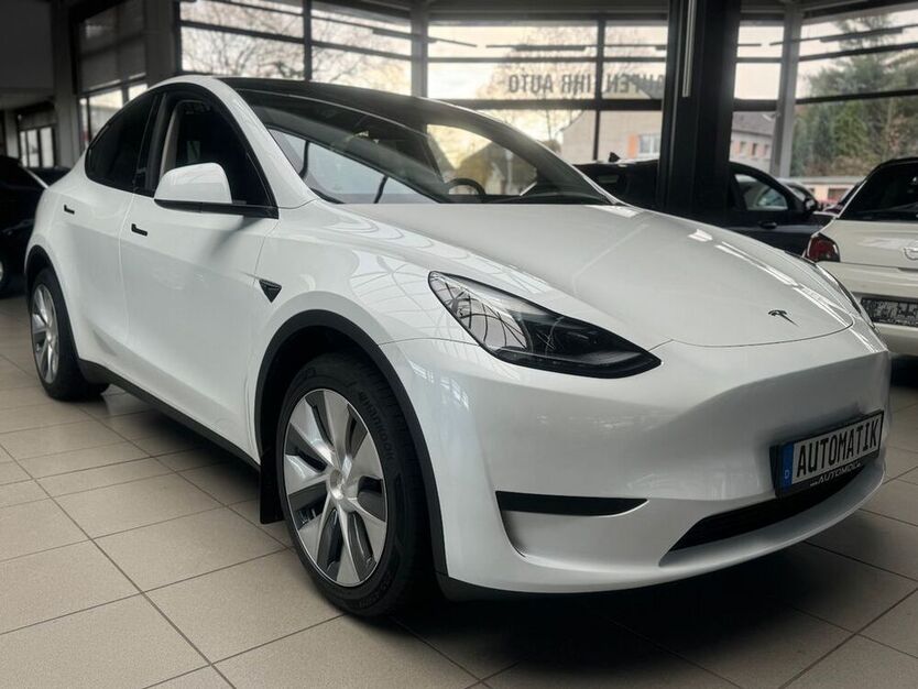Model Y