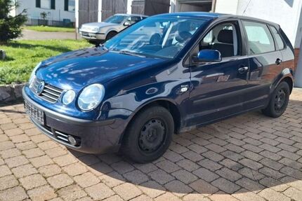 VW Polo
