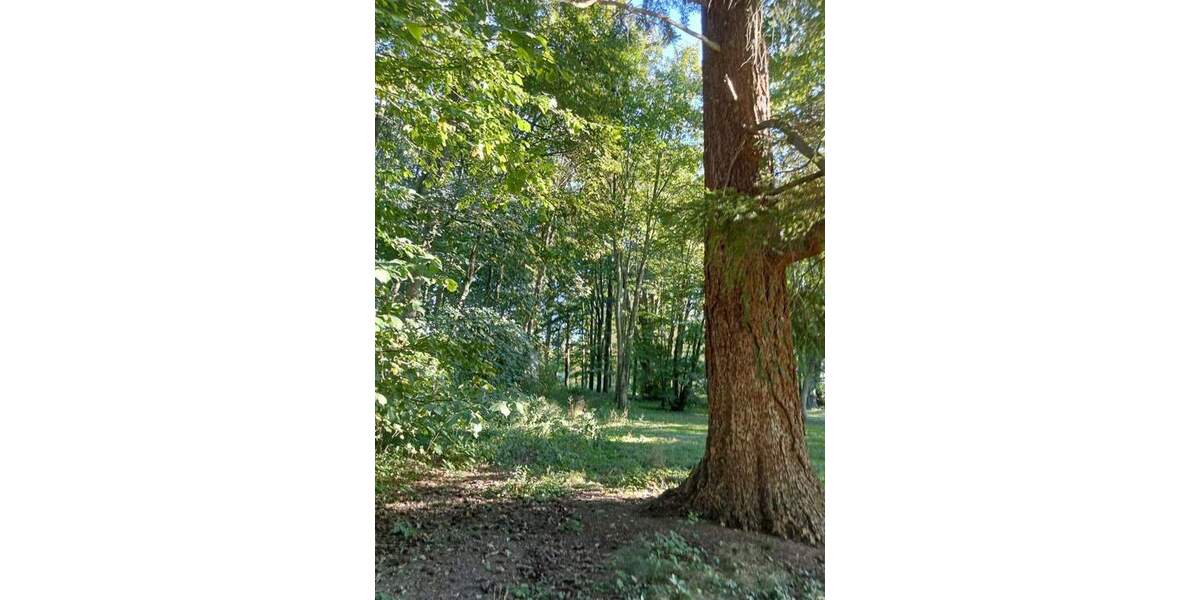 Ihr Schloß mit einer 5*Frühstückspension 3 zimmer