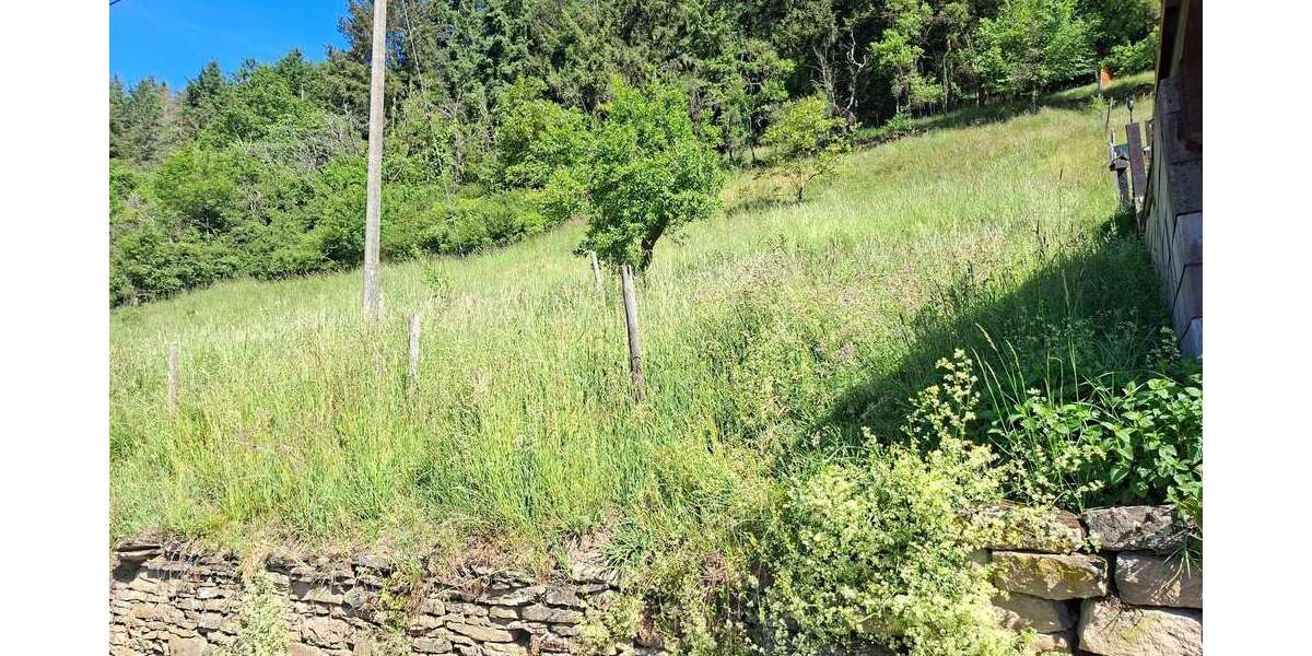 Grundstück Schmittweiler - 32.500&euro; | Angebot:26744651