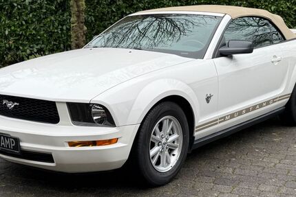 Ford Mustang 53.300 km 12.980 &euro; Münster 48163