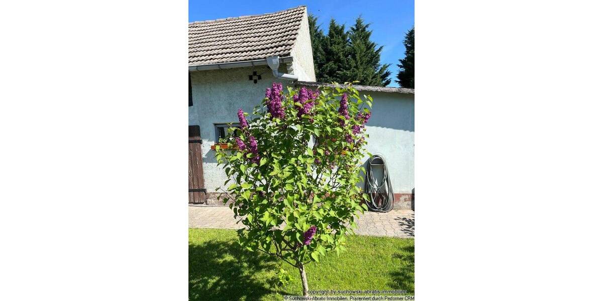 Bauernhaus, Landhaus Schönewalde - 6 Zimmer, 150 m&sup2;, 149.000&euro; | Angebot:26052935