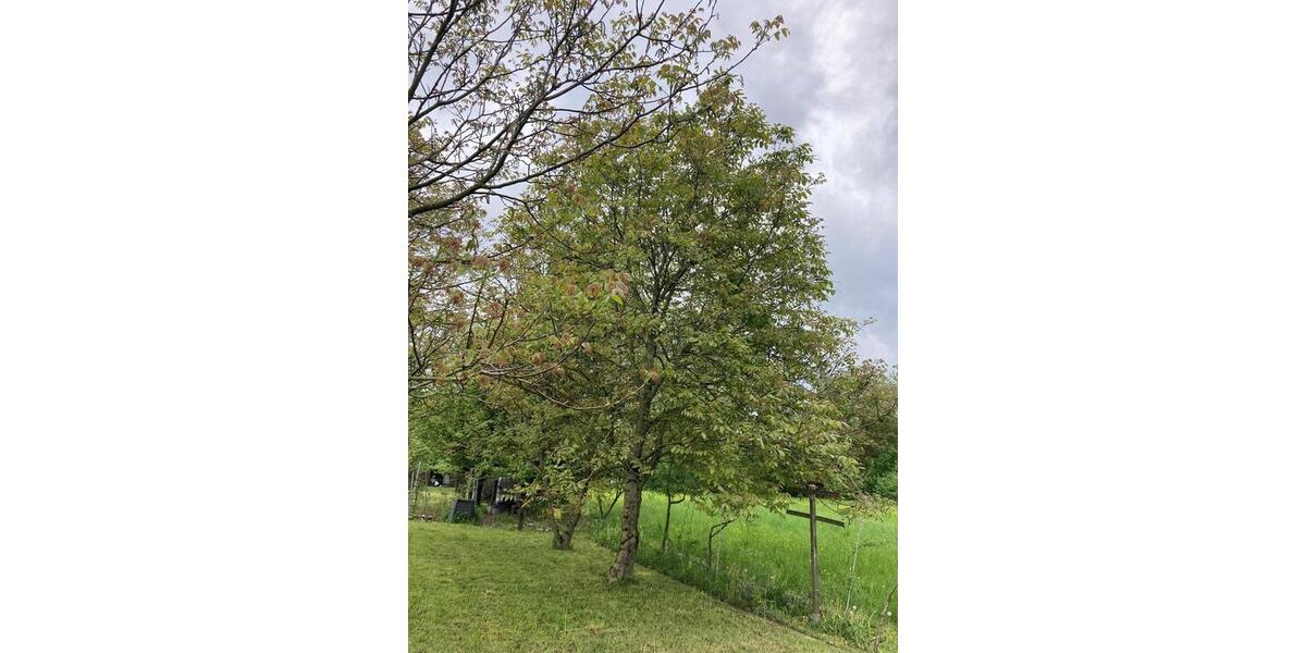 Grundstück Kirchheim unter Teck - 25.000&euro; | Angebot:24998432