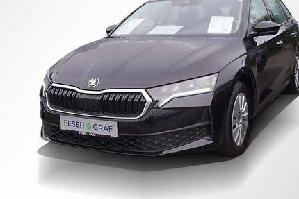 Skoda Octavia 15.550 km 23.940 € Erlangen 91058
