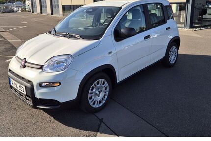 Fiat Panda 4.750 km 13.999 &euro; Wildau 15745