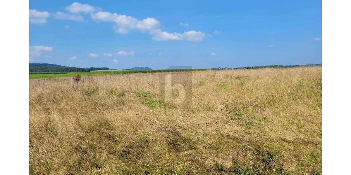 Grundstück Großlittgen - 177.045&euro; | Angebot:25549773